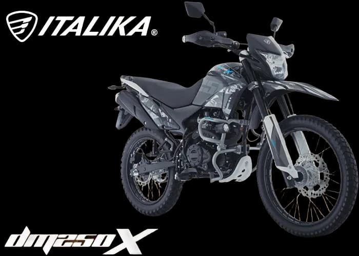 Italika DM250X, foto 1